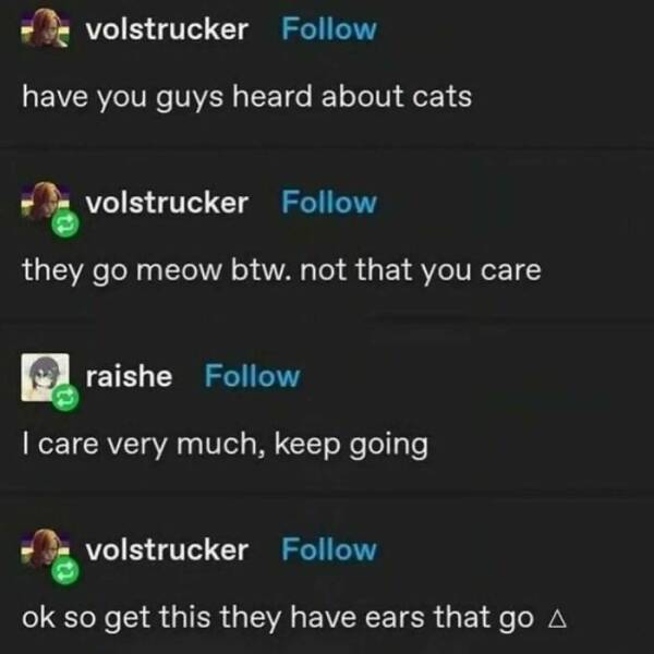 Hilarious Tumblr Gems You’ll Wish You Could Reblog