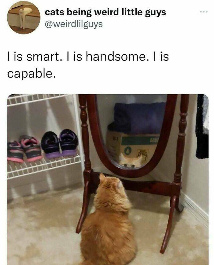 Hilarious Tumblr Gems You’ll Wish You Could Reblog