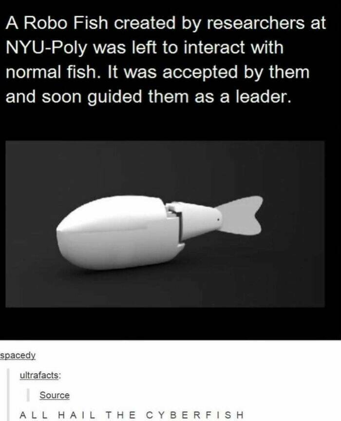 Hilarious Tumblr Gems You’ll Wish You Could Reblog