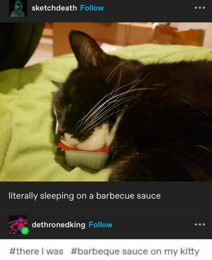 Hilarious Tumblr Gems You’ll Wish You Could Reblog