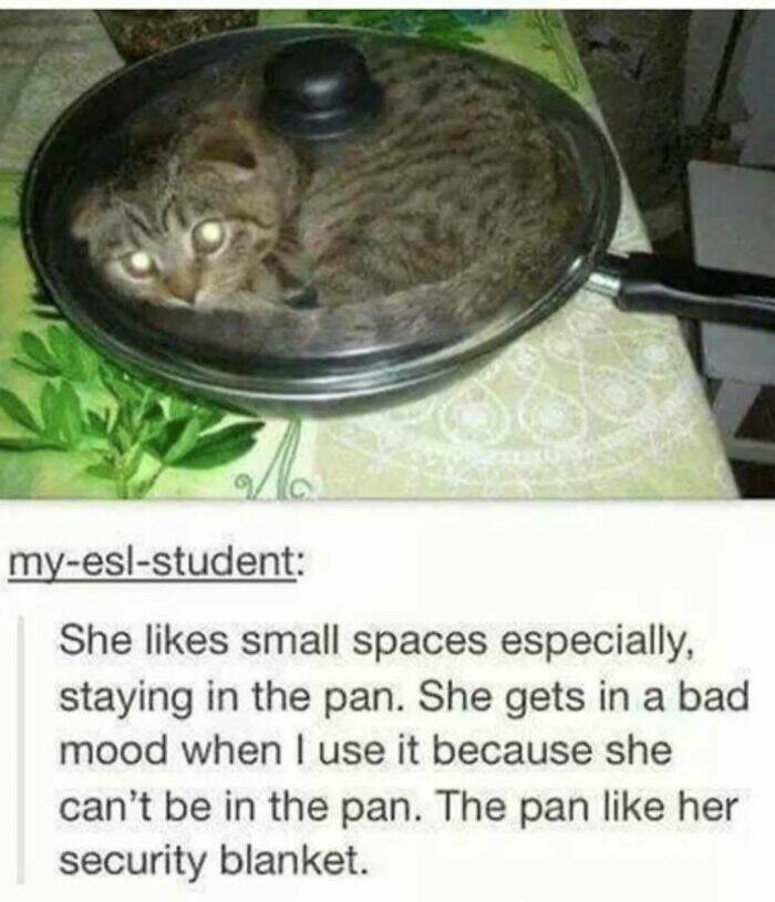 Hilarious Tumblr Gems You’ll Wish You Could Reblog