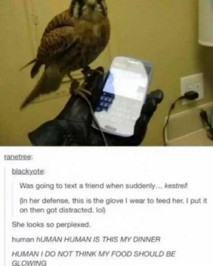 Hilarious Tumblr Gems You’ll Wish You Could Reblog