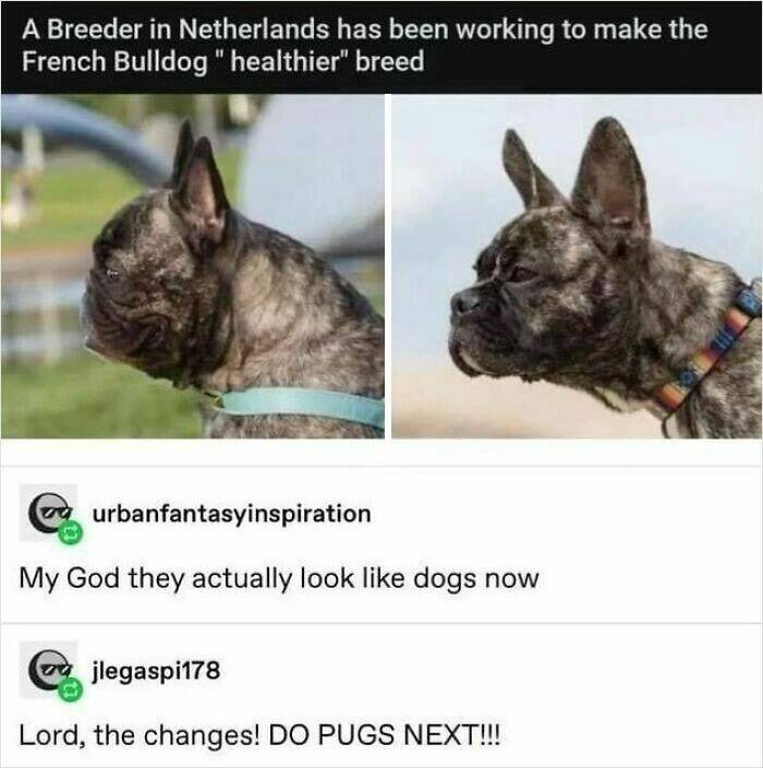 Hilarious Tumblr Gems You’ll Wish You Could Reblog