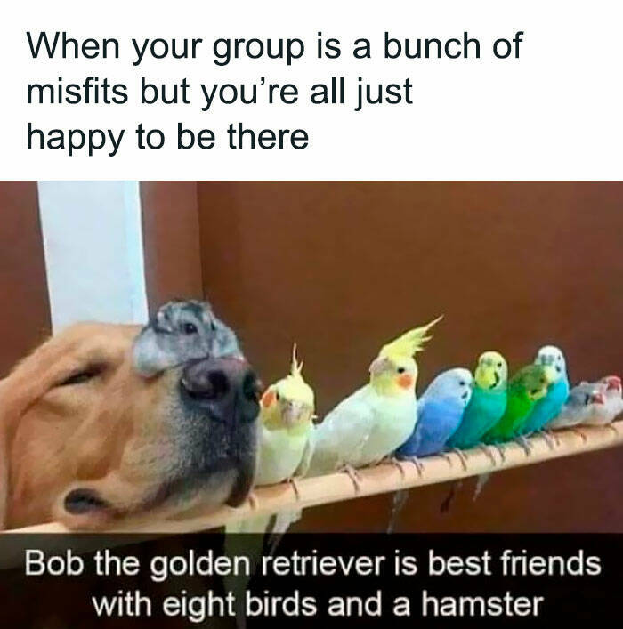 Hilarious Tumblr Gems You’ll Wish You Could Reblog