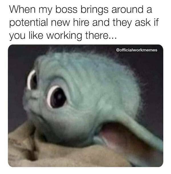 Out-of-This-World Memes For Your Sci-Fi Imagination