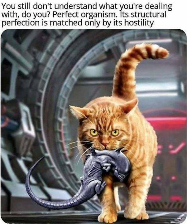Out-of-This-World Memes For Your Sci-Fi Imagination