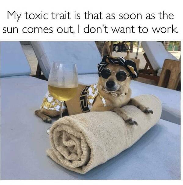 The Daily Grind Never Stops The Daily Grind Never Stops