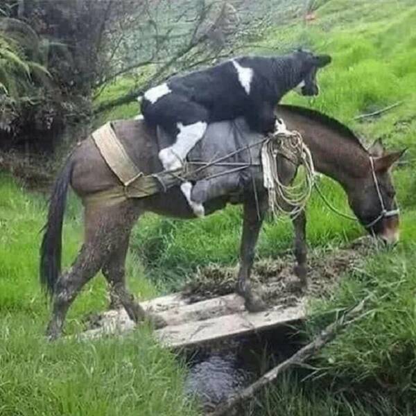 Daily Picdump Daily Picdump