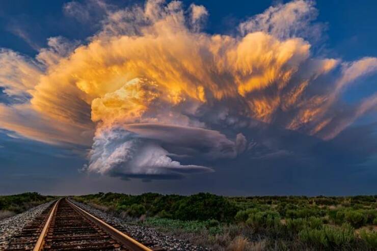 Daily Picdump Daily Picdump