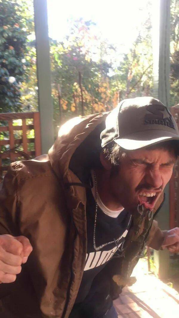 Daily Picdump Daily Picdump