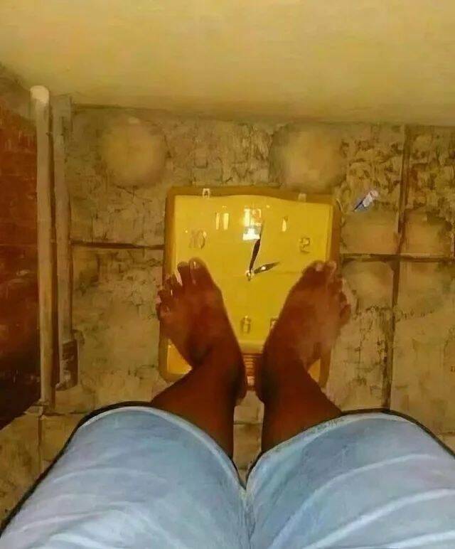 Daily Picdump Daily Picdump