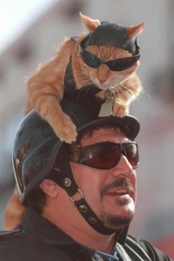 Daily Picdump Daily Picdump