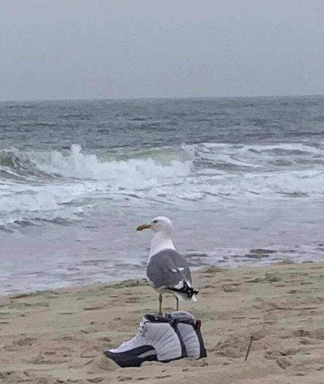 Daily Picdump Daily Picdump