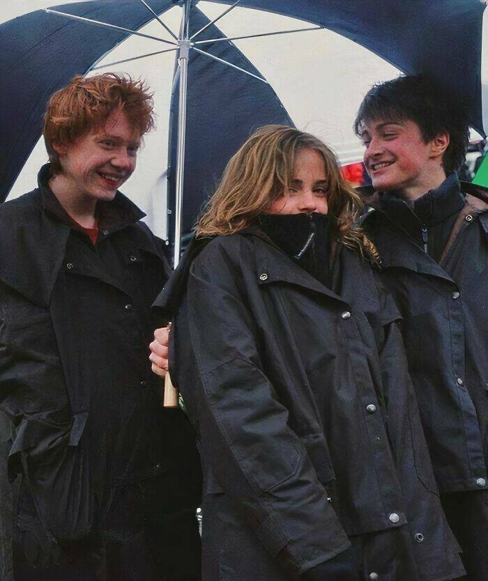 Happiness Captured: Wholesome Images To Lift Your Mood