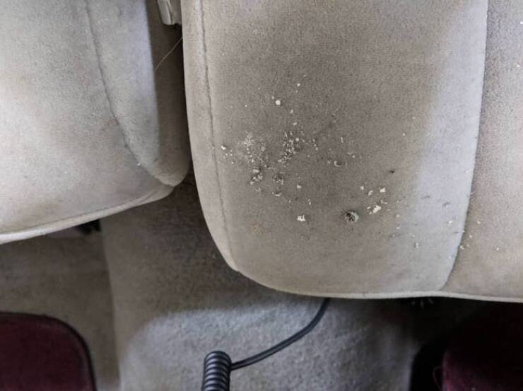 Outrageous In-Law Moments That Left Everyone Speechless