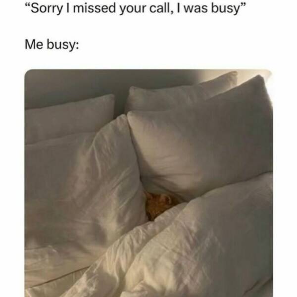 Sarcastic Memes That Are A Little Too Relatable Sarcastic Memes That Are A Little Too Relatable