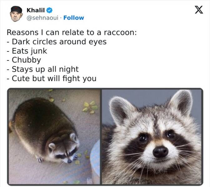 Sarcastic Memes That Are A Little Too Relatable Sarcastic Memes That Are A Little Too Relatable