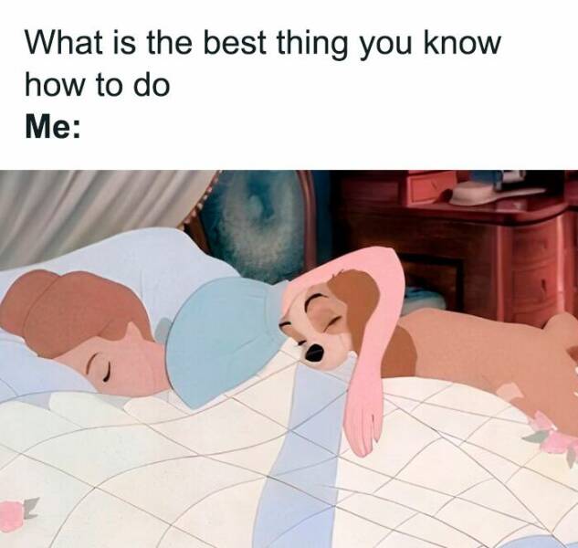 Sarcastic Memes That Are A Little Too Relatable Sarcastic Memes That Are A Little Too Relatable