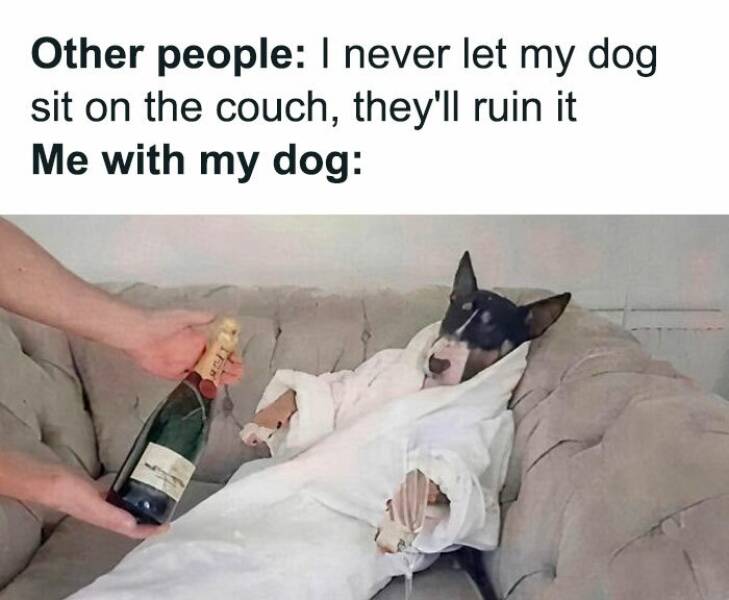 Sarcastic Memes That Are A Little Too Relatable Sarcastic Memes That Are A Little Too Relatable