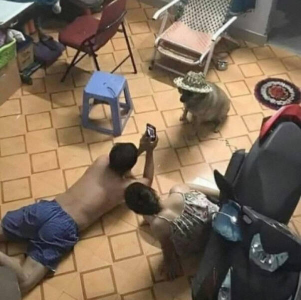 Weird Images That Are Oddly Captivating