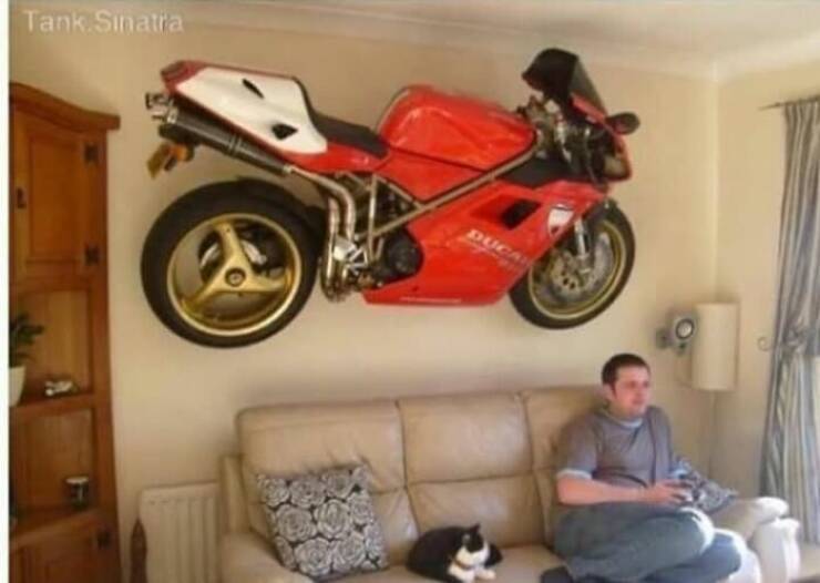 Weird Images That Are Oddly Captivating