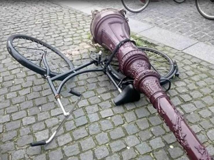 Weird Images That Are Oddly Captivating