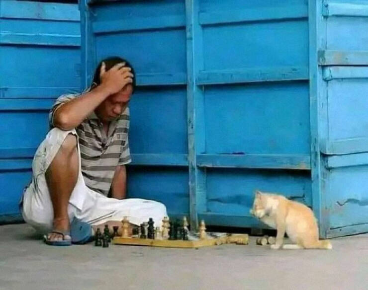 Weird Images That Are Oddly Captivating