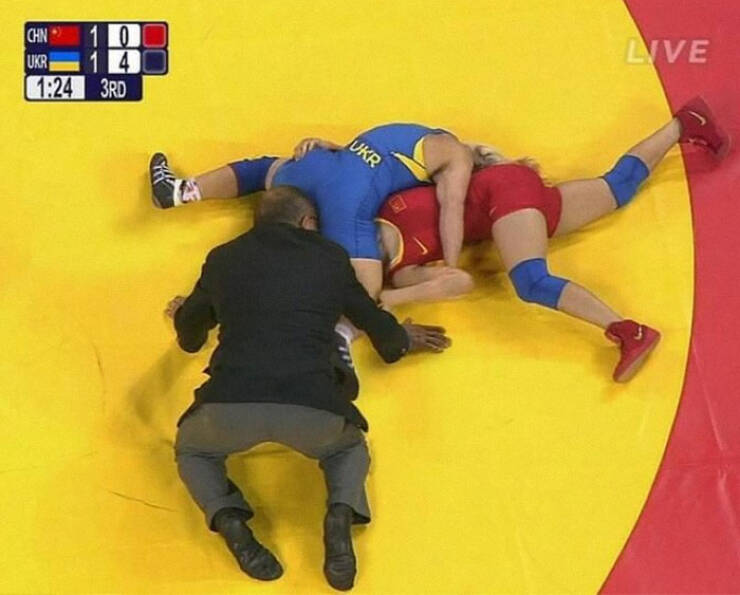 Weird Images That Are Oddly Captivating Weird Images That Are Oddly Captivating