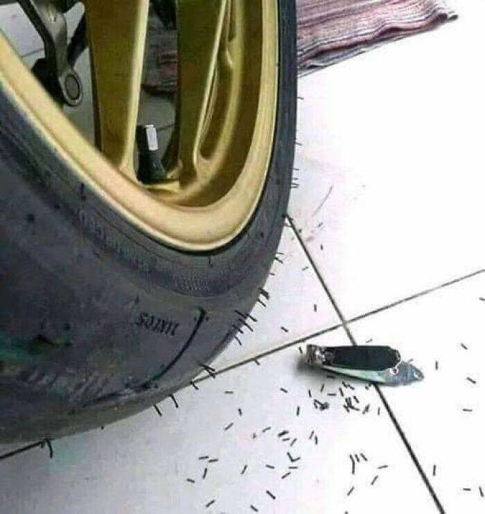 Weird Images That Are Oddly Captivating