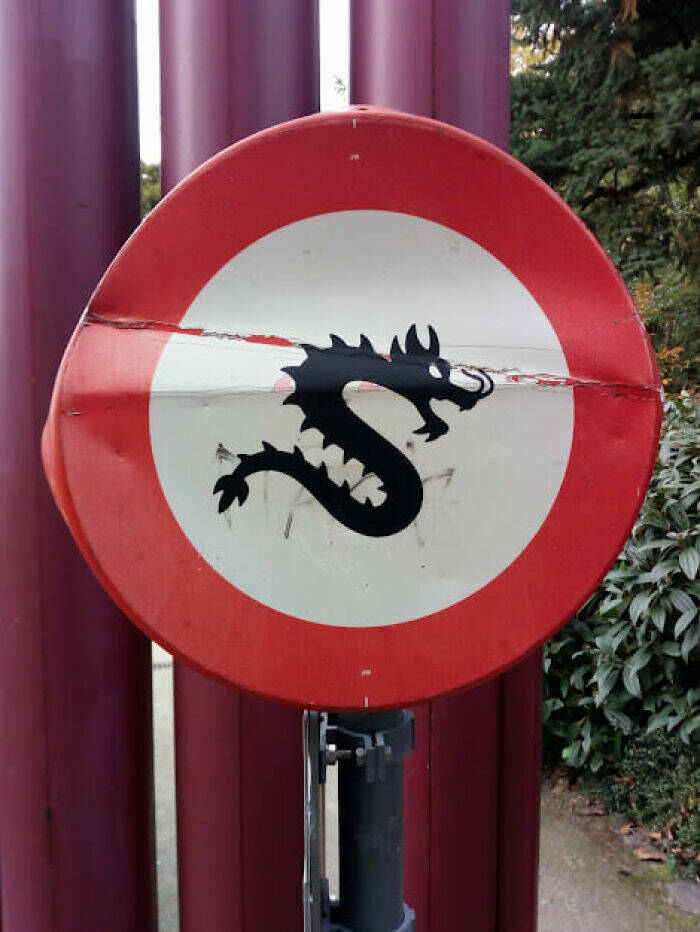 Weird Images That Are Oddly Captivating