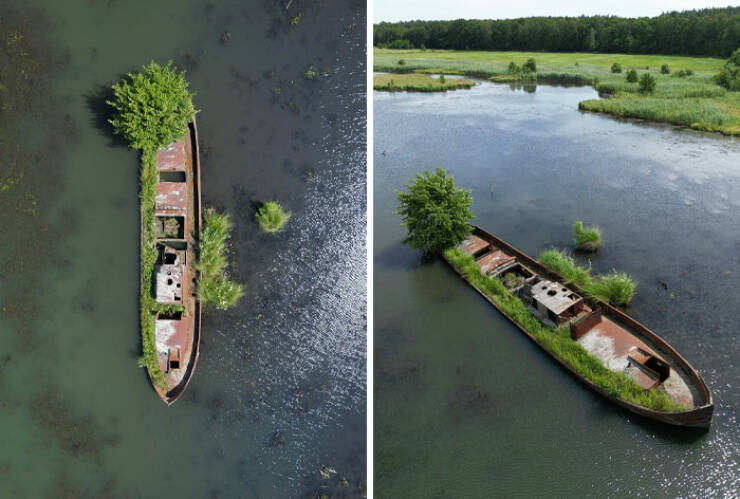 Beautiful Examples Of Nature Reclaiming Space