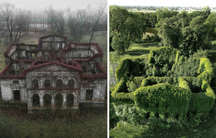 Beautiful Examples Of Nature Reclaiming Space