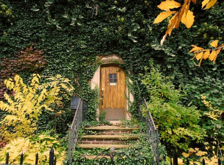 Beautiful Examples Of Nature Reclaiming Space