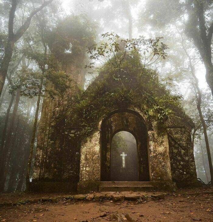 Beautiful Examples Of Nature Reclaiming Space