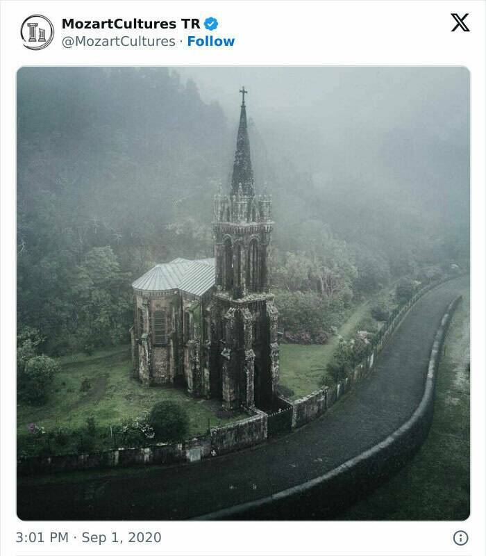 Beautiful Examples Of Nature Reclaiming Space