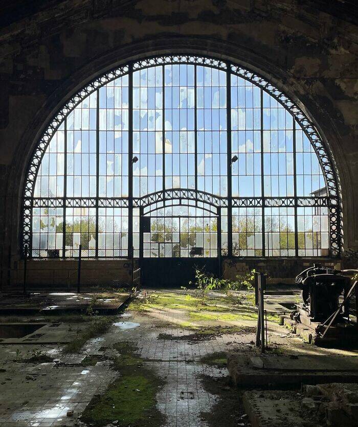 Beautiful Examples Of Nature Reclaiming Space