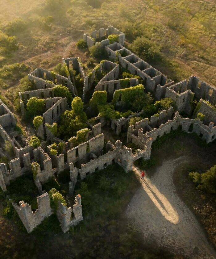 Beautiful Examples Of Nature Reclaiming Space