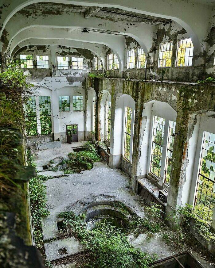 Beautiful Examples Of Nature Reclaiming Space