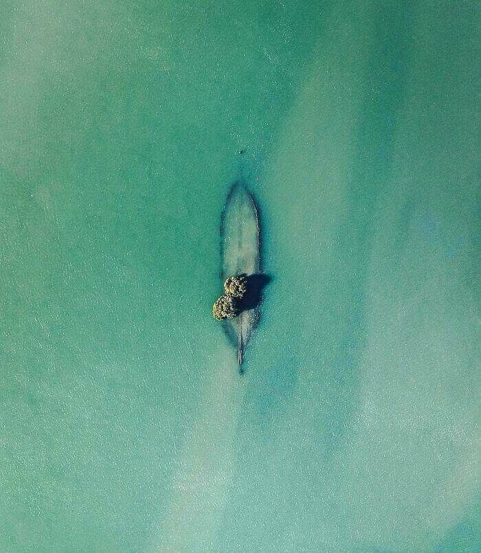 Beautiful Examples Of Nature Reclaiming Space