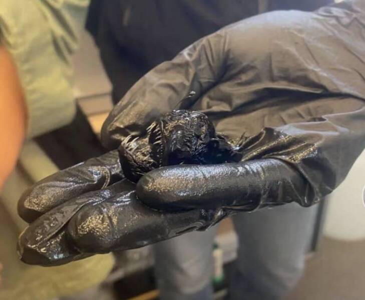 Fascinating Pics That Tell A Story