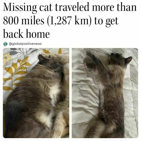 Good News Only: Uplifting Stories To Brighten Your Day