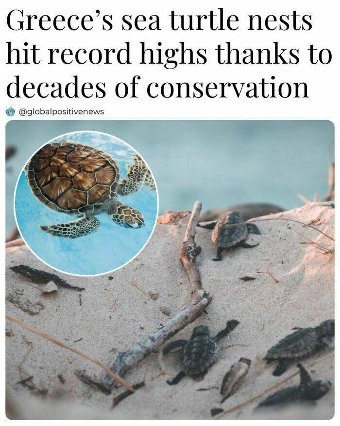 Good News Only: Uplifting Stories To Brighten Your Day