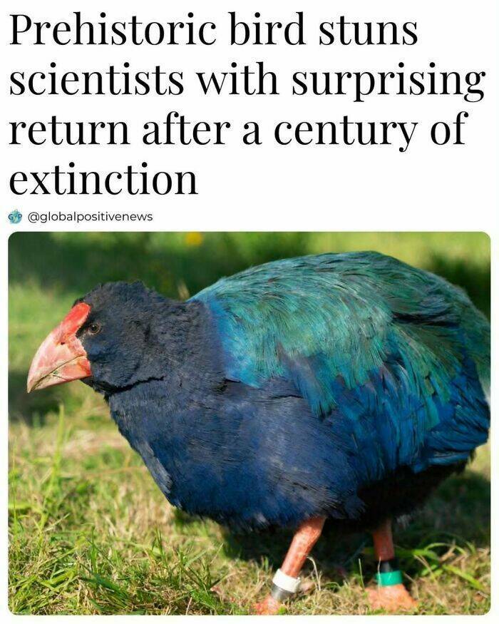 Good News Only: Uplifting Stories To Brighten Your Day