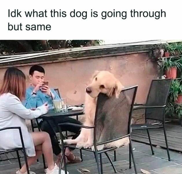 The Internet’s Sassiest Women Keeping It Real