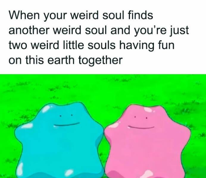 The Internet’s Sassiest Women Keeping It Real