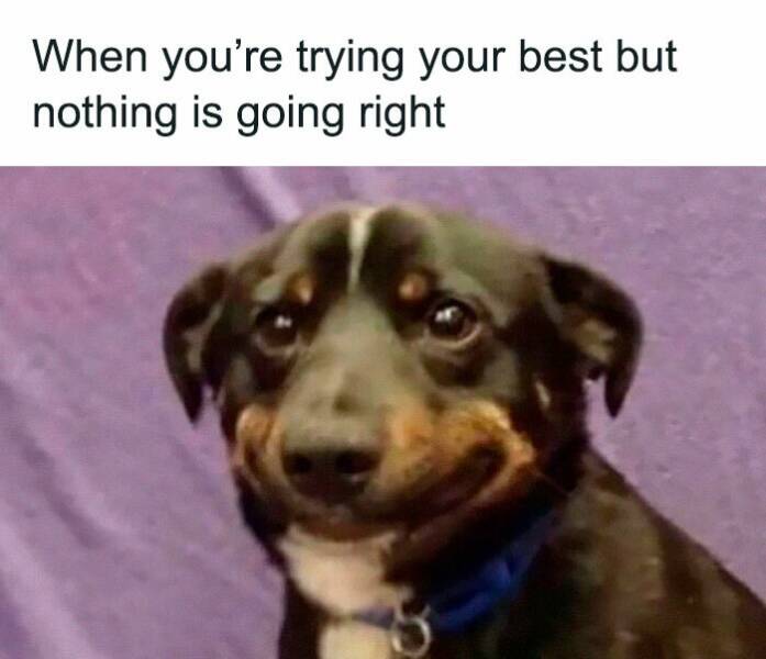 The Internet’s Sassiest Women Keeping It Real