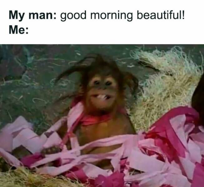 The Internet’s Sassiest Women Keeping It Real