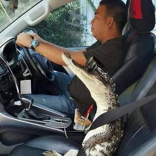 When Animals Went Full Goblin Mode When Animals Went Full Goblin Mode