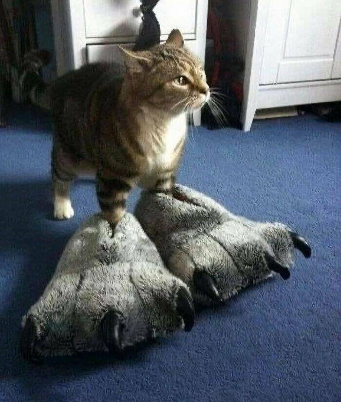 When Animals Went Full Goblin Mode When Animals Went Full Goblin Mode