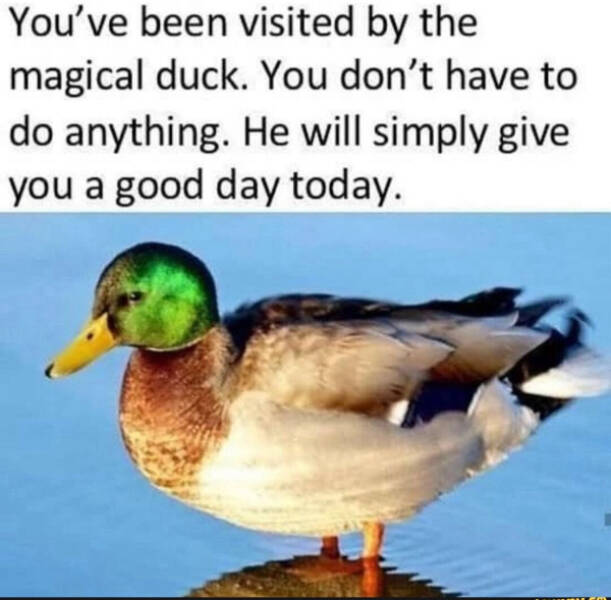 You Laugh, You Lose! Wanna Play? You Laugh, You Lose! Wanna Play?